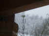 Neve2012_UccellinoAlFreddo.JPG (1486567 byte)