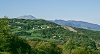 DaLontano.jpg (173343 byte)