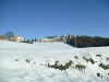 Neve2.jpg (37157 byte)